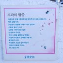 동피랑마을 네이버블로그