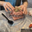 힐링원예 가드닝 이미지