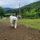 마치집인냥 이미지