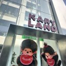 캐리 | 몬치치 덕후라면 무조건 가야하는 신사 캐리마켓 후기 + 내돈내산