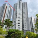 비전미소약국 이미지