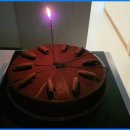 한양동물메디컬센터 이미지