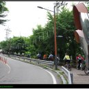 솔개미 이미지