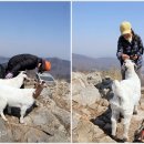 노적산 | [강화도 혈구산]찬우물고개아래-혈구산-노적산안부-남산-강화산성남문