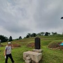 김지남 비갈 및 묘 이미지