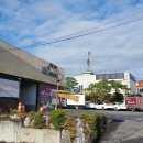 지호카센타 이미지