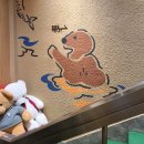 곰돌이식당 | [성수역] 쿠마짱온센, 귀여운 일본 감성 &#39;곰돌이 스키야끼&#39; 후기