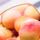 복숭아한의원 이미지