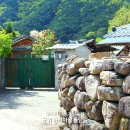 남천민박 | 군위 한밤마을 다녀온 후기, 천년 돌담길과 가볼만한곳 정리