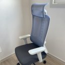 척추편한세상 | 사무실 게이밍의자 내돈내산 에펠탑 아우스 허리 편한 의자