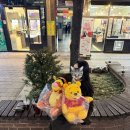 냥이댕이 | 2026년 2월