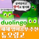 고  삼 | 새해 영어공부 추천! 작심삼일러 듀오링고 639일째 써본 솔직 후기