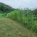 초월 태양광발전소 이미지