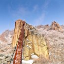 삼박 이미지