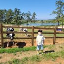 서하목장 이미지