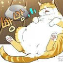 일렉시드