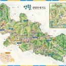 영월-10
