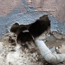 조양건축 이미지