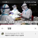 콩고 어린애 3명이 박쥐먹고 죽은거부터 전염병 시작이라는데 치사울 12프로랴 이미지