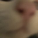 가평쏠스테이스파펜션 이미지