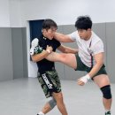 위즈레슬링 이미지