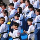 멘토 태권도장 이미지