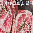 그레이스돈뭉치 이미지
