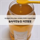 벌꿀농장 | 숲속자연농장 자연벌꿀 후기｜국산벌꿀 아카시아꿀, 요리부터 차까지 활용도 높은 국내산벌꿀