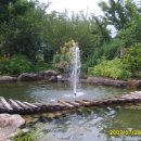 천태산장 이미지