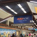 (주)새한글로벌렌터카 | #5. 하와이신혼여행 DAY4 :: 하와이 주내선 탑승기, 허츠 렌트카, 하와이 렌트 픽업반납 꿀팁 🚗