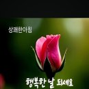 수요일 - 종로구 인사동길 36 | 수요일