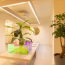 모들디자인 이미지