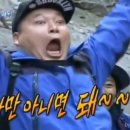 신솔돈