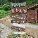 소뜰농장 이미지