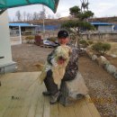 성일농원 이미지