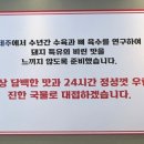 제주곤이칼국수동탄삼성반도체점 이미지