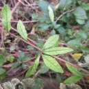 발리모텔 이미지