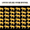 마리중학교 이미지
