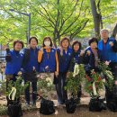 만덕3동-5 이미지