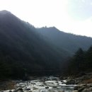 양구 나비야 이미지