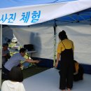 퍼펙트 마이펫 티스토리