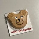 임신 중기 일상 기록 17주차~22주차