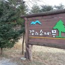 정선펜션1박2일 이미지