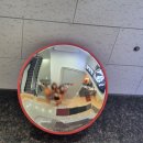 스파렉스 연수 이미지