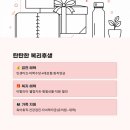 정션코리아 대구지사 | 구찌 코리아 정규직 채용 중 - 클라이언트 어드바이저 지원 전에 꼭 읽어야 할 것들