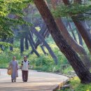 사릉로156번길1 이미지