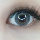 오렌즈 대전 노은역점 | 오렌즈 시크리스 코랄그레이 후기 / 원데이 렌즈 추천