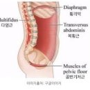 예스짐 이미지