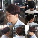 트레보헤어 이미지