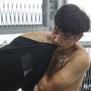 팔로인 이미지